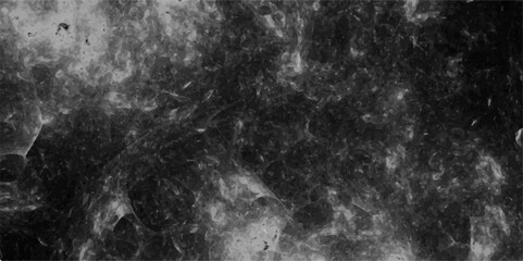 Obraz premium Abstract grayscale texture depicting interwoven, cloudy, and fibrous patterns resembling cosmic dust or neural filaments. Cosmic nebula or microscopic biological network seen through an electron