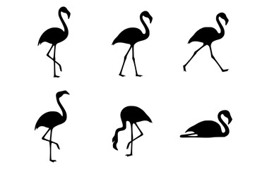 Elegant silhouettes of flamingos in various poses, perfect for minimalist design or nature-themed projects. These graceful birds showcase their iconic profile and poise.