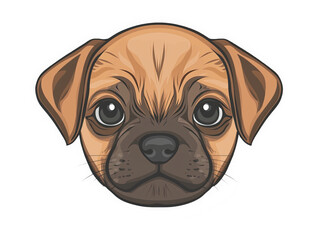Adorable Pug Puppy With Big Eyes