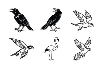 Majestic Birds Raven, Falcon, and Flamingo Illustrations © LaxmiRani