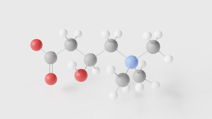 Carnitine molecule 3d, molecular structure, ball and stick model, structural chemical formula metabolic enhancer