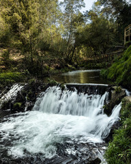 River stream alongside "Passadiços de Pindelo"