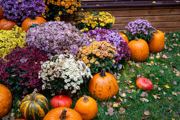 Vibrant Fall Display of Pumpkins and Chrysanthemums