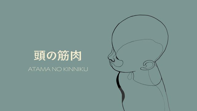 頭のこりを揉みほぐす頭の筋肉の場所と名称