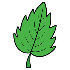 Hand drawn cartoon green leaf on white background.