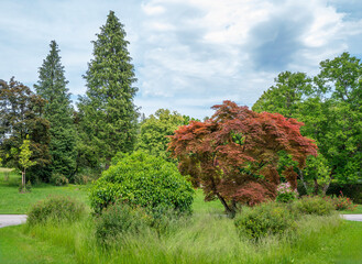 Schloßpark Höhenried, Bernried, am Starnberger See, Bayern, Oberbayern, Deutschland, Europa