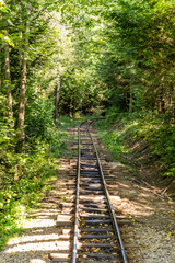 Obraz premium Narrow gauge railway in a mountain village. Rails and sleepers. Railway track. Nature in summer. Travel by train. Carpathians green grass