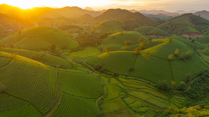 A breathtaking sunrise illuminates the rolling green hills with golden light, casting a warm glow across the lush landscape and distant mountains. This serene scene captures the tranquility of nature 