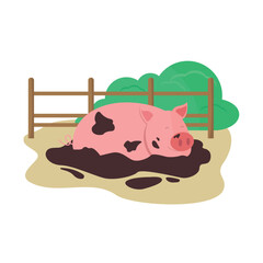 Piglet lies in a dirty puddle near the fence. Farm situation. Farm animal. Banner.