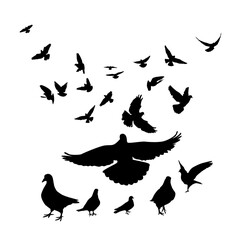 Flying birds silhouettes on white background. Vector illustration. isolated bird flying. tattoo design