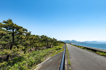 静岡県沼津市にあるの千本松原,
