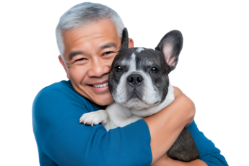 Older Asian man smiling and hugging his black and white French Bulldog, isolated on white or transparent background