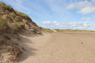sand dunes in the desert