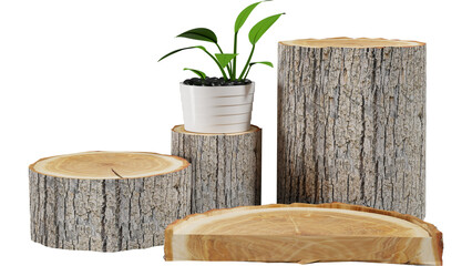 Wooden Podium with Plant