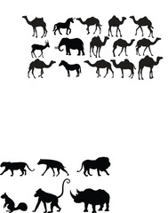 wild animals collection