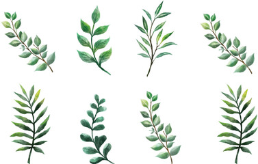 Leaf green bundle and vector file.