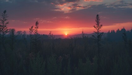 Fototapeta premium A sunset in the middle of nature