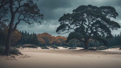 Obraz premium A beautiful landscape view of trees and sand with a cloudy sky.