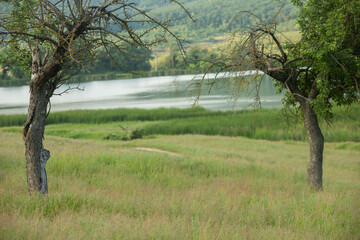 Fototapety na wymiar - Fototapeta24.pl