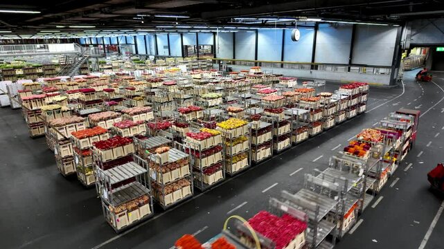 Robotic systems move pallets stacked with fresh flowers through a high-tech distribution center, where artificial intelligence manages global shipping logistics to ensure perfect bloom delivery