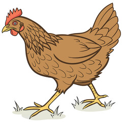 Majestic brown chicken detailed feather side view illustration bird fowl rural avian image vector