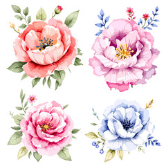 Watercolor pink floral bouquets set. Botanic composition watercolor hand-painted isolated on white background, suitable for card design, wedding, invitations, greeting, Save the date.