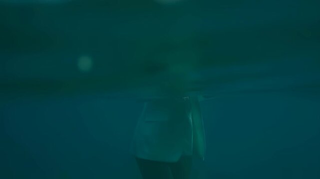 Businesswoman remotely working while submerged in tropical ocean