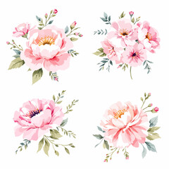 Set watercolor bouquet flowers on white background	