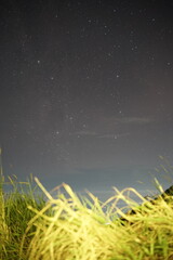 capturing star on the camp site