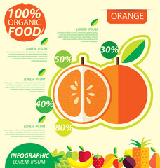 Orange fruit. Infographic template. vector illustration.