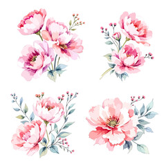 Set watercolor bouquet pink flowers on white background	