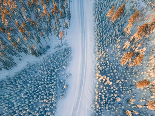 Captivating view of a vast snow-covered forest showcasing evergreens blanketed in white.