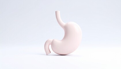 Fototapeta premium Highly Detailed 3D Rendering of the Human Stomach on a Clean White Background; Anatomical Medical Illustration Featuring Minimalistic Design for Educational and Scientific Visualization Purposes