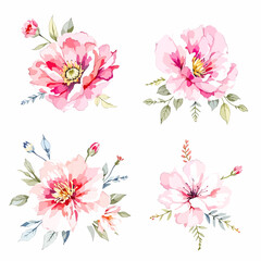 Wild flowers set, watercolor digital illustration.  © Watercol