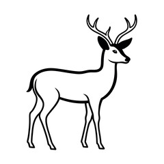 deer vector illustration