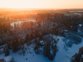 A road  winds through a snowy forest, where frosty trees