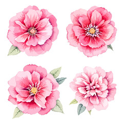 Wild flowers set, watercolor digital illustration.
