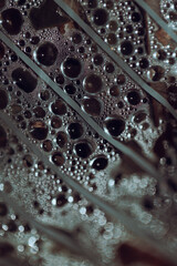 Water droplets gather on a surface covered in fine textures