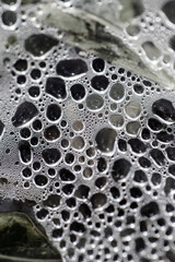 Water droplets gathered on a surface covered in fine textures. Abstract natural texture.