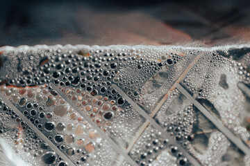 Water droplets gathered on a surface covered in fine textures. Abstract natural texture.