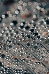 Water droplets gather on a surface covered in fine textures, glistening in soft light after recent...