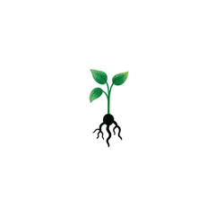 Small green plant with roots is depicted against plain background, symbolizing growth and nature. illustration is simple and clear, focusing on plant leaves and roots