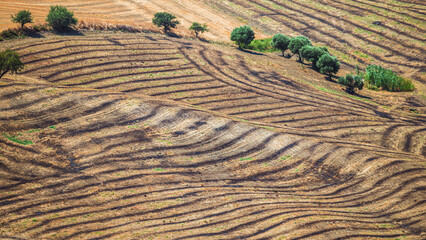 summer countryside landscape with the midday light inside Val D'Agri, Basilicata