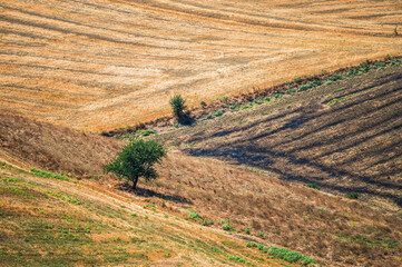 summer countryside landscape with the midday light inside Val D'Agri, Basilicata