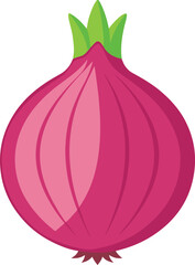 red onion isolated on white