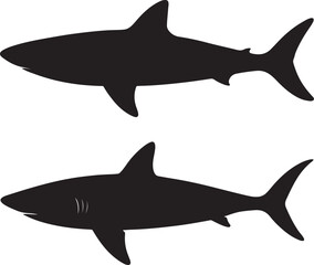 Obraz premium shark vector illustration