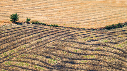 summer countryside landscape with the midday light inside Val D'Agri, Basilicata