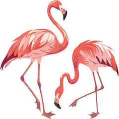 Flamingo elegance vibrant pink feathers slender legs bird avian fauna animal nature exotic vector