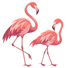 Elegant flamingos vibrant pink feathers long legs tropical birds avian fauna animal nature exotic