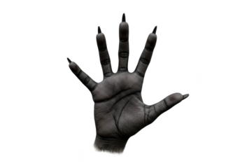 Dark hand with long nails, transparent background